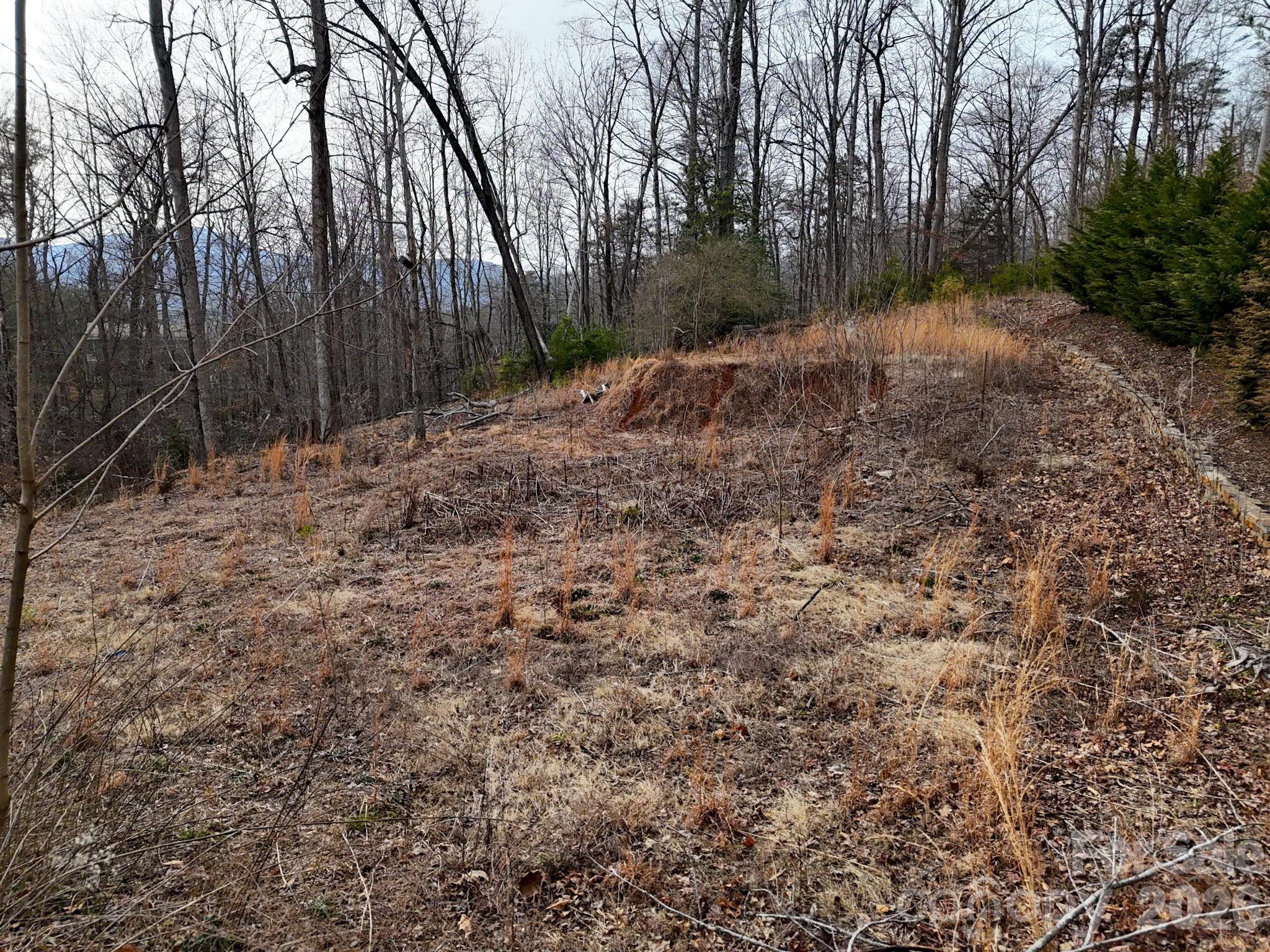 Riverbend at Lake Lure - Land