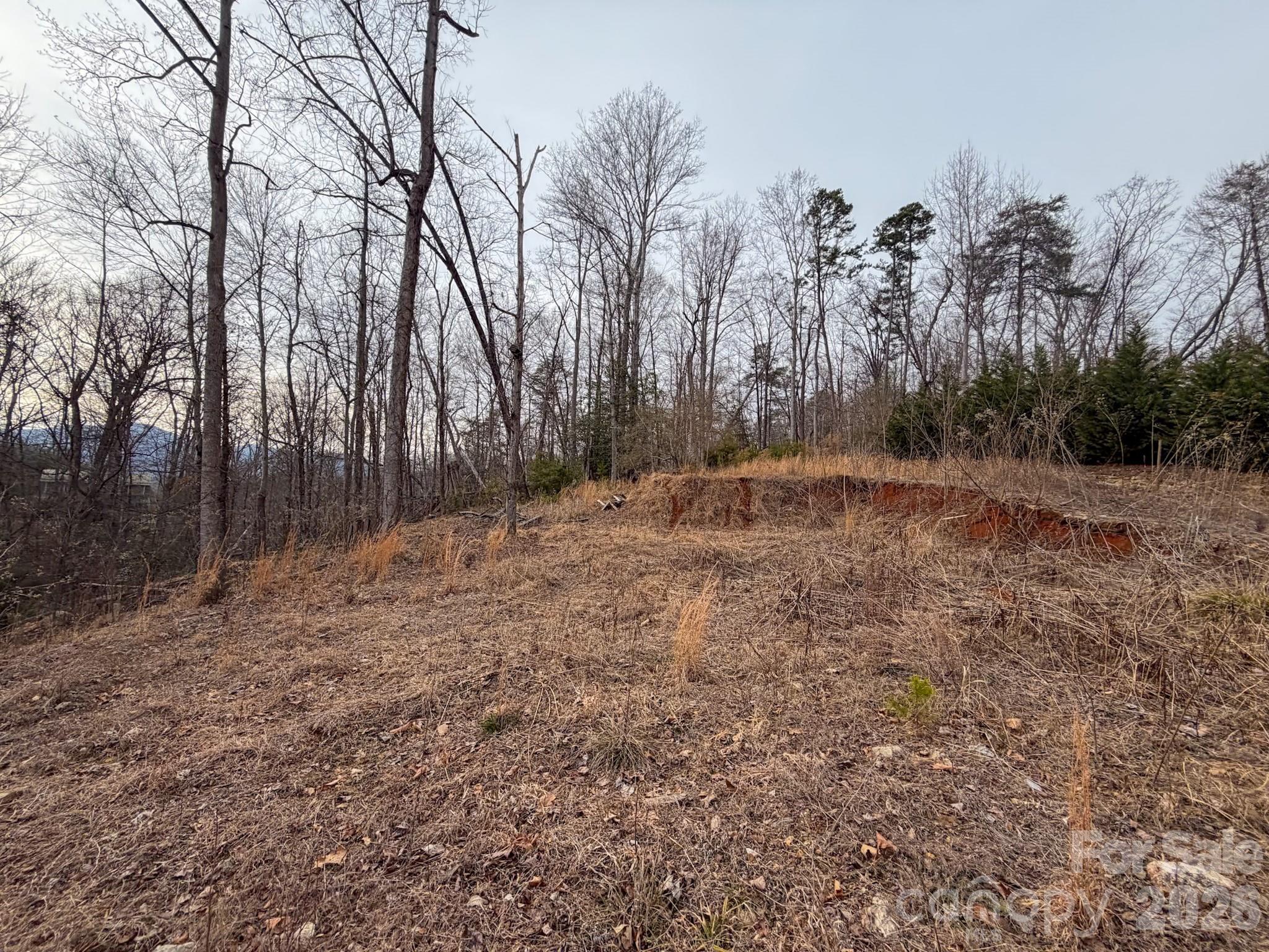 Riverbend at Lake Lure - Land