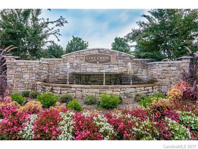 Cole Creek - Residential