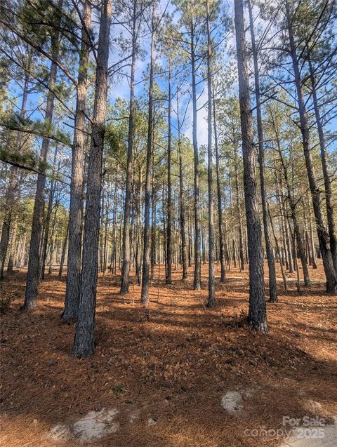 Photo of 482 Pine Road, Jefferson, SC 29718 (MLS # 4333527)