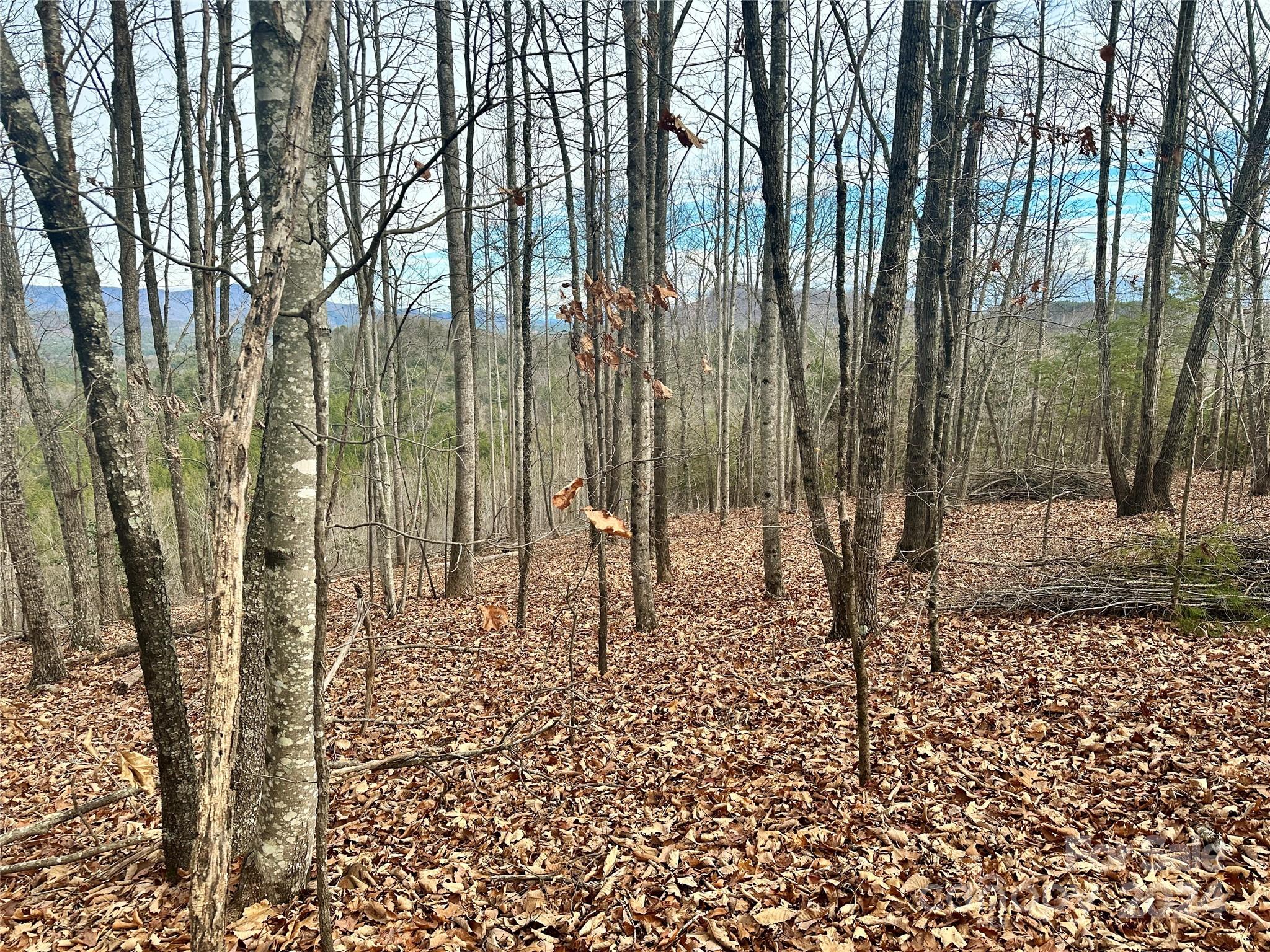 South Mountain Peaks - Land