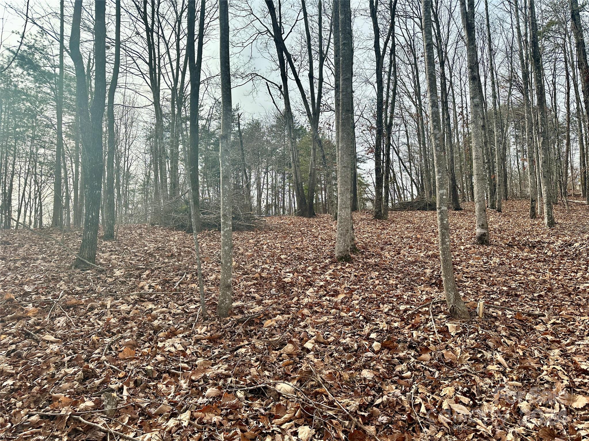 South Mountain Peaks - Land