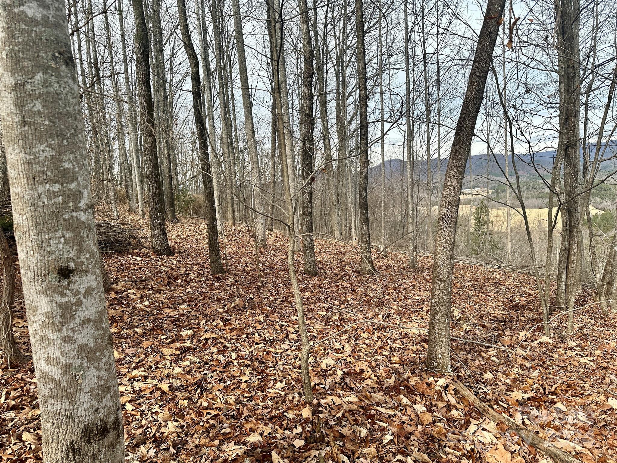 South Mountain Peaks - Land