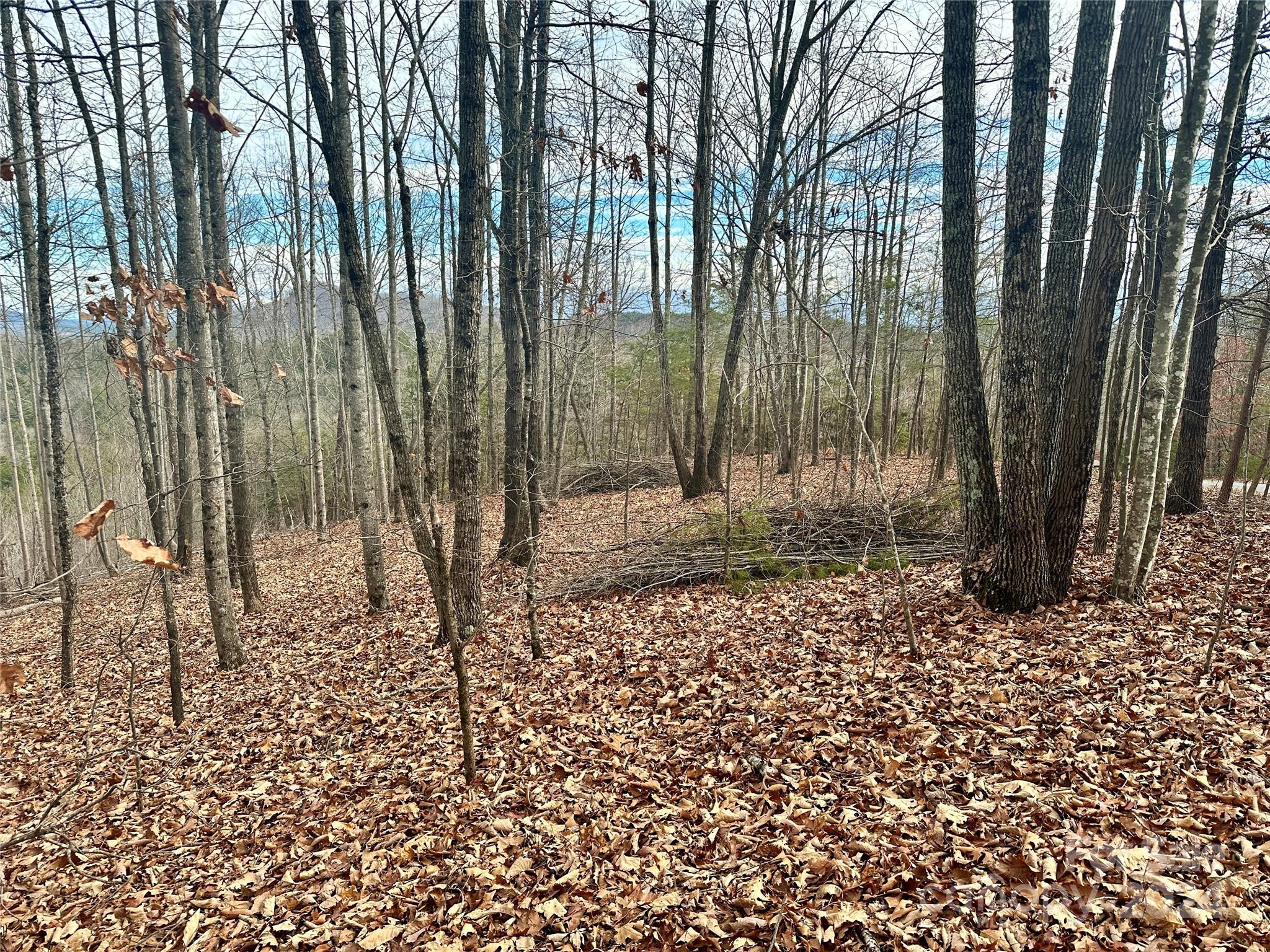 South Mountain Peaks - Land