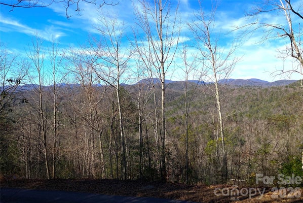 GROUSE LN, BREVARD, NC 28712 - Image 61363fbf4b5e41a2ab1aba73229a0ae1/2892608666
