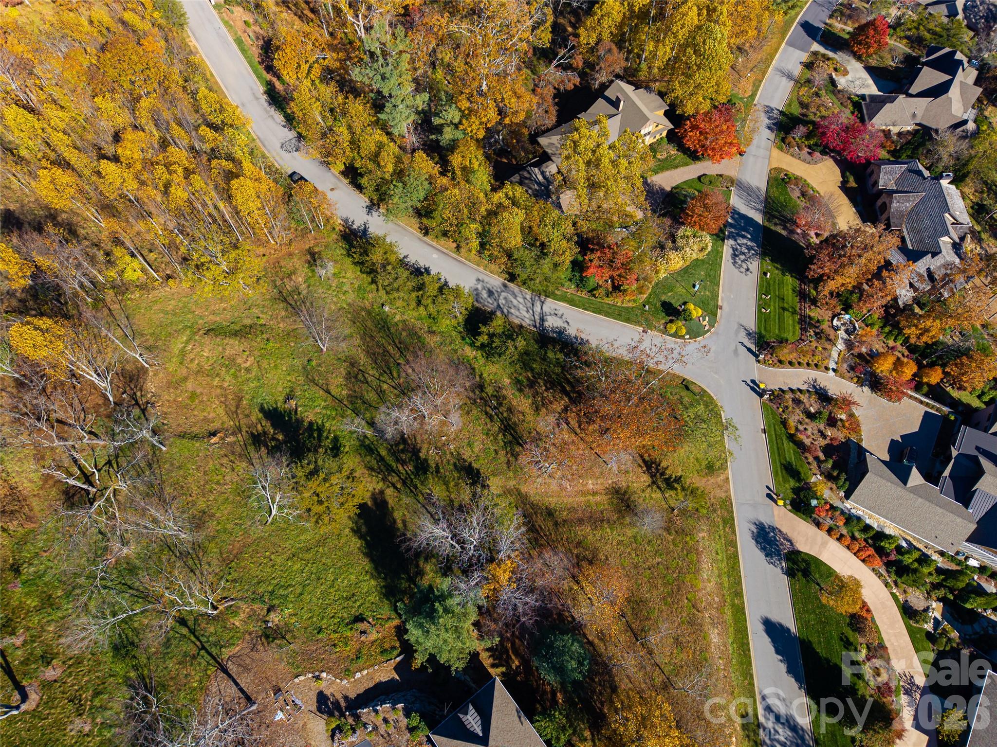 Reynolds Mountain - Land