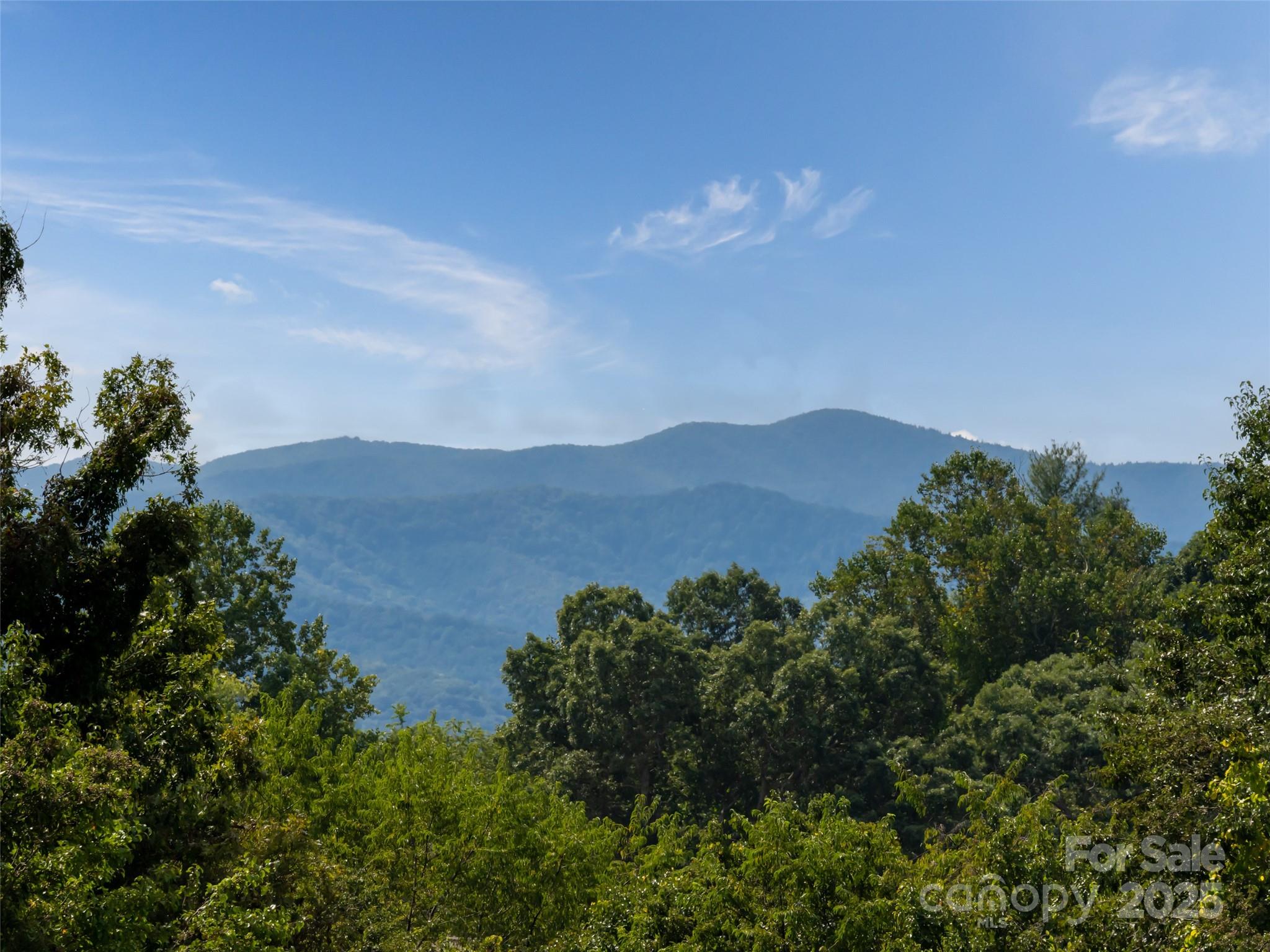 The Farm at Mills River - Land