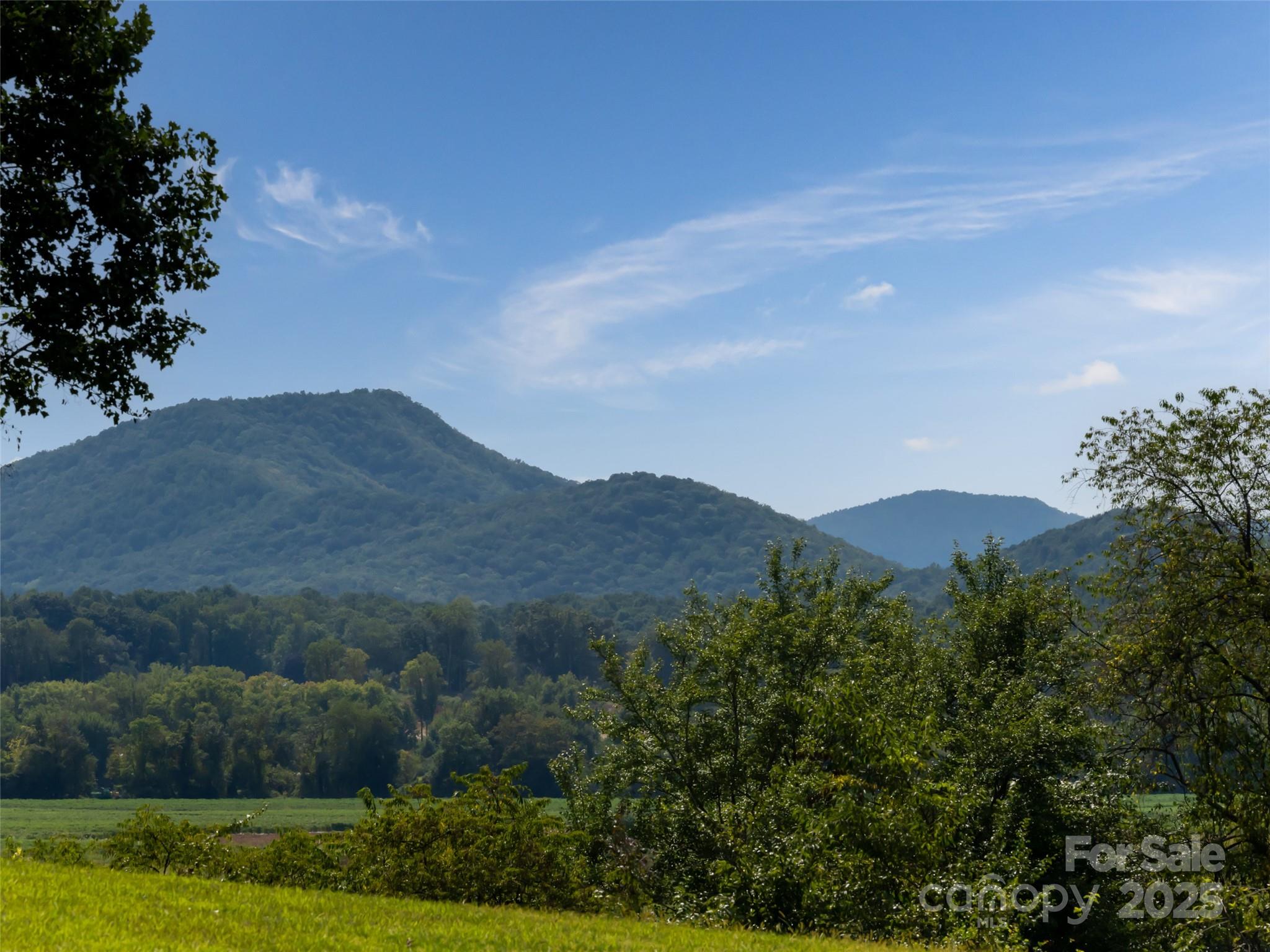The Farm at Mills River - Land
