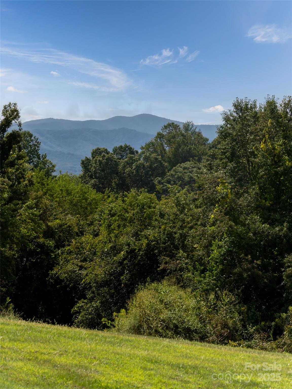 The Farm at Mills River - Land