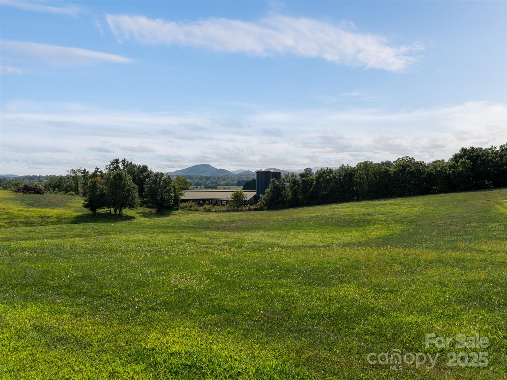 The Farm at Mills River - Land