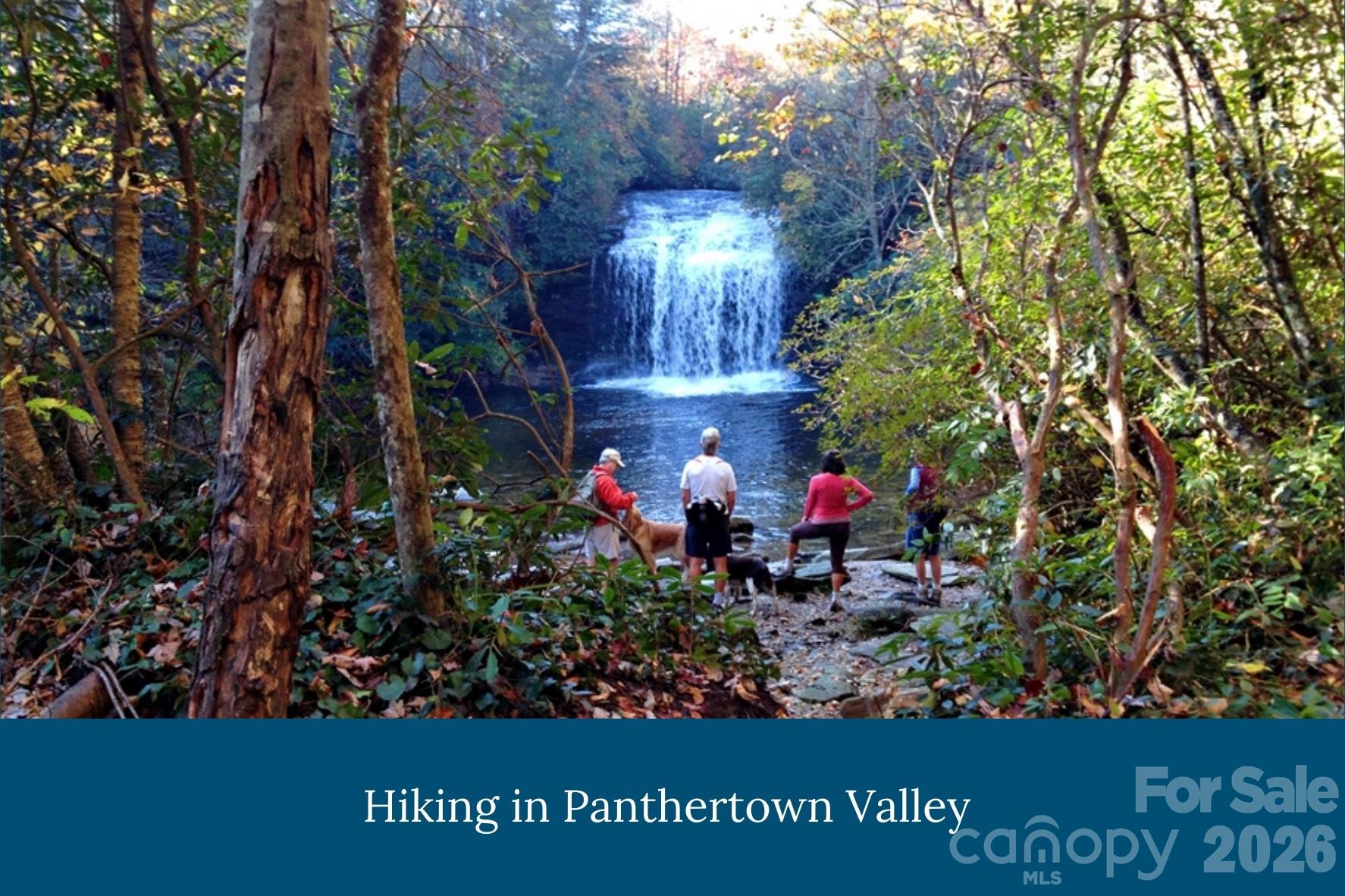 Lake Toxaway Estates - Land