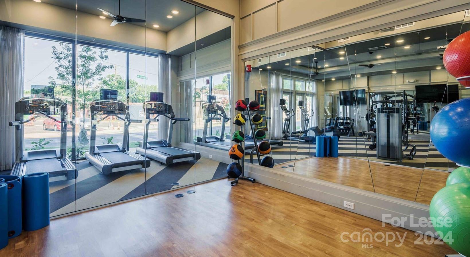 Charlotte, North Carolina 28204, United States, 1 Bedroom Bedrooms, ,1 BathroomBathrooms,Residential,Active,63361