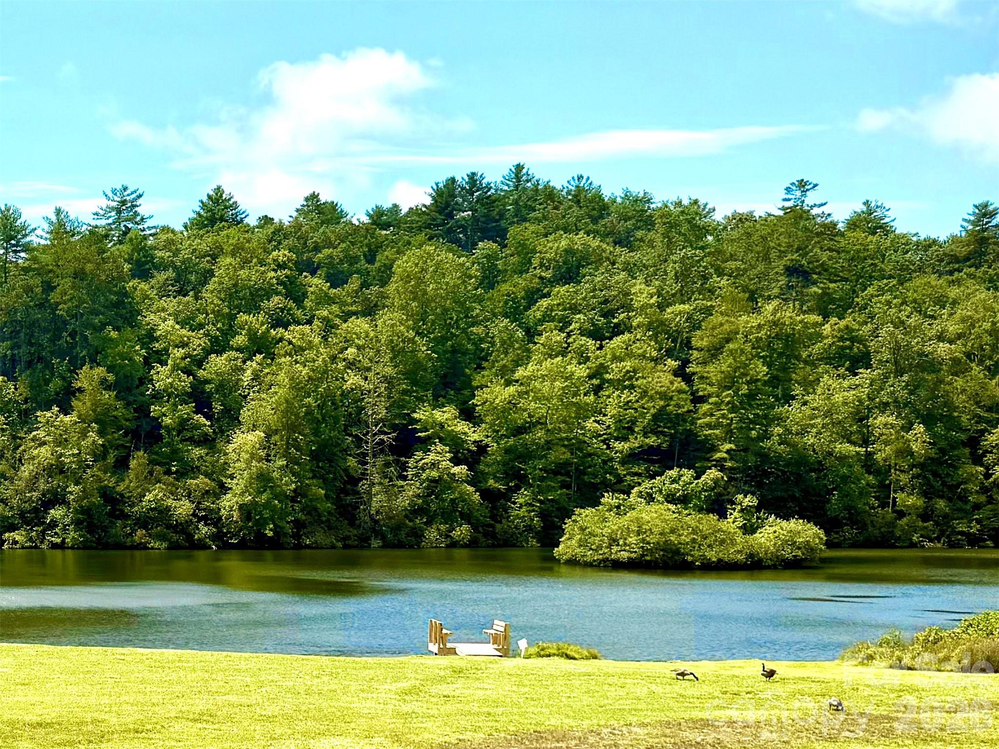 67 Autumn Glen Court, Brevard, NC, 28712