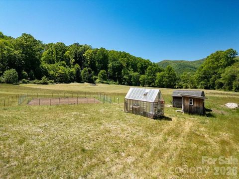 230 Harlow and Cricket Drive Balsam Grove NC 28708