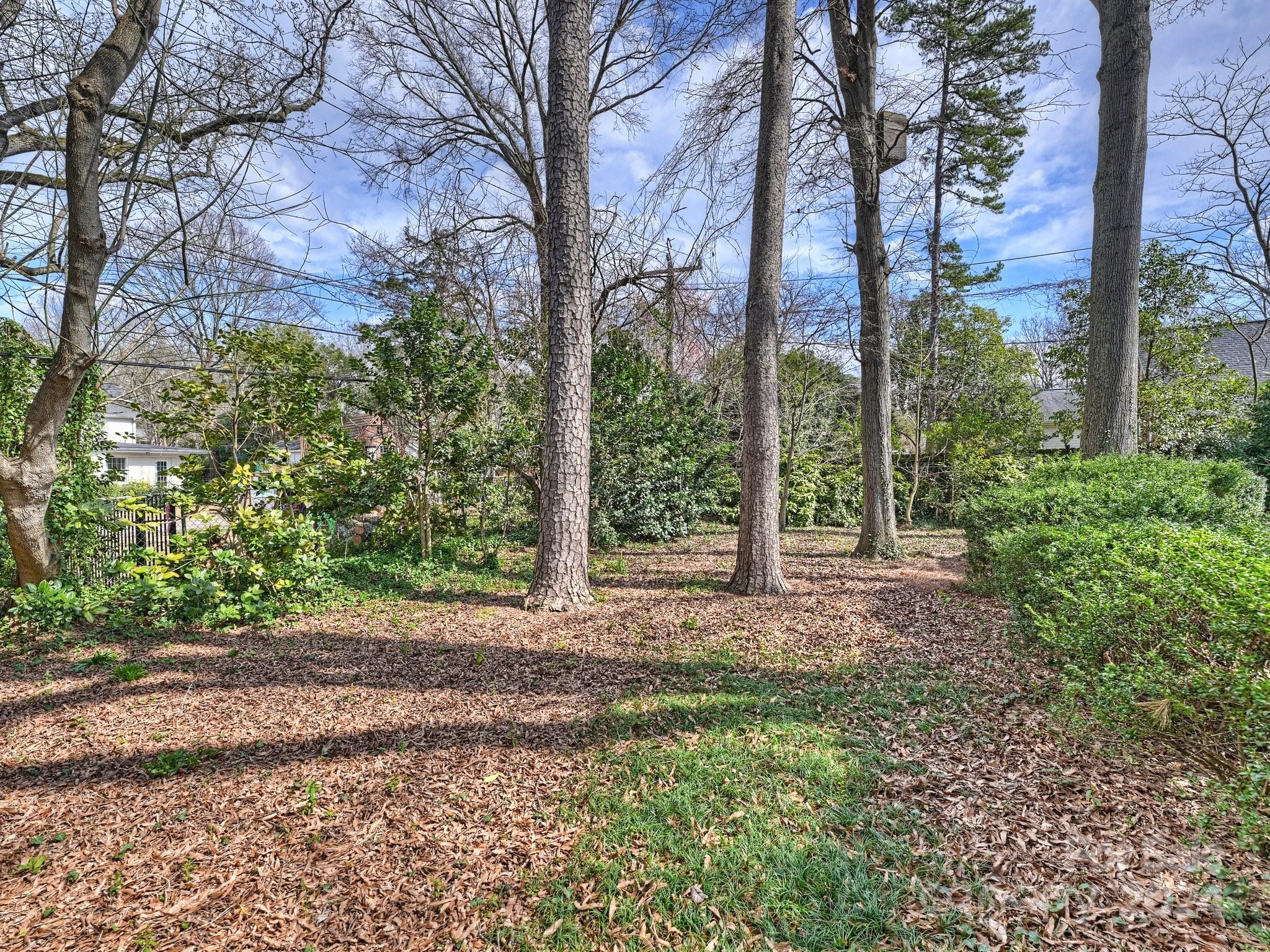 Myers Park - Residential