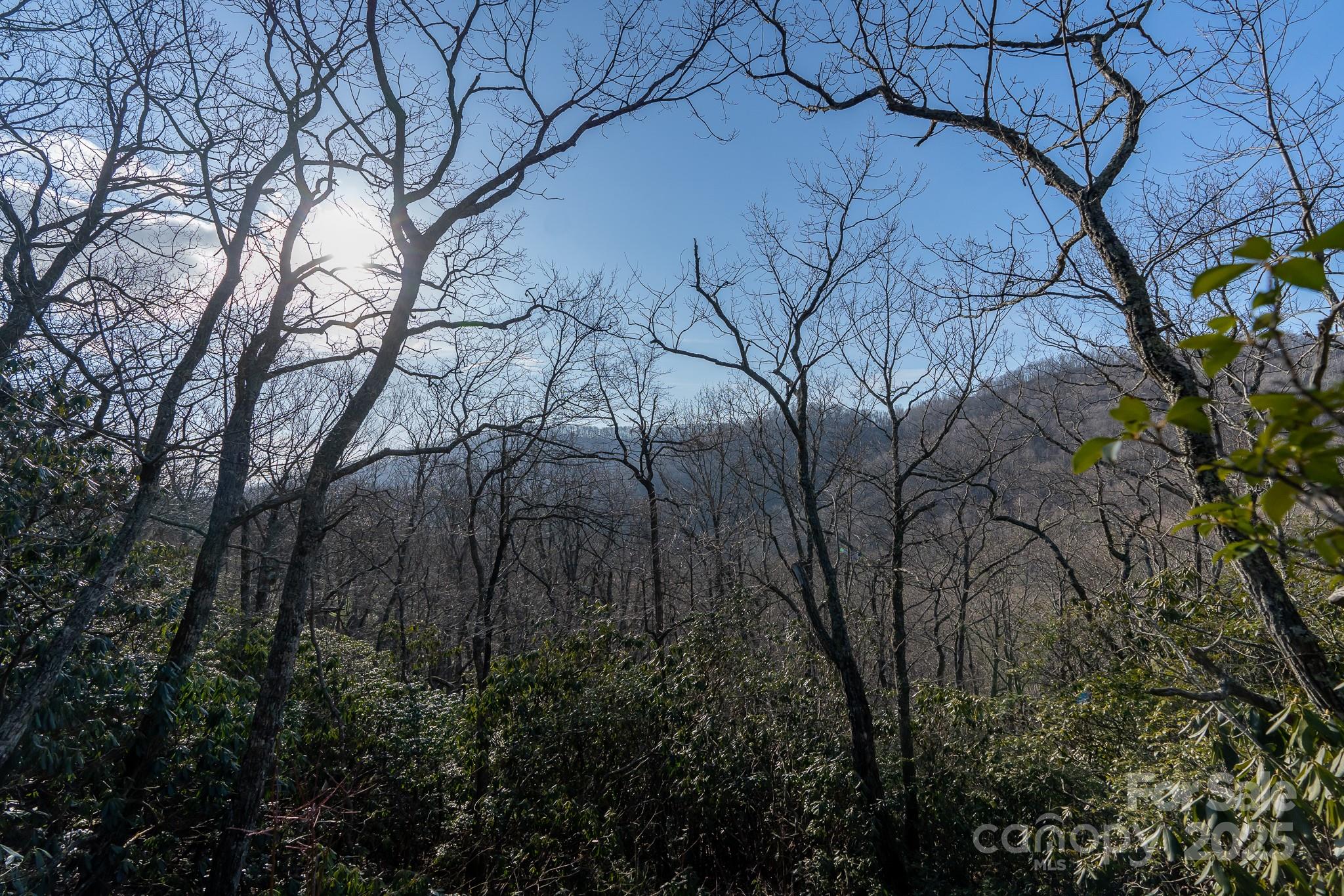 Fairview Forest - Land