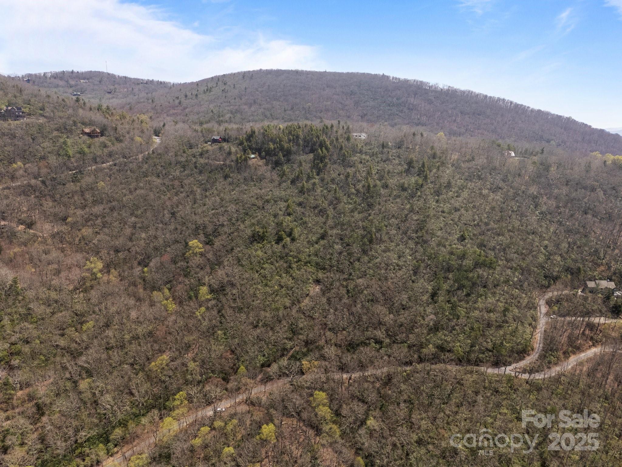 Fairview Forest - Land