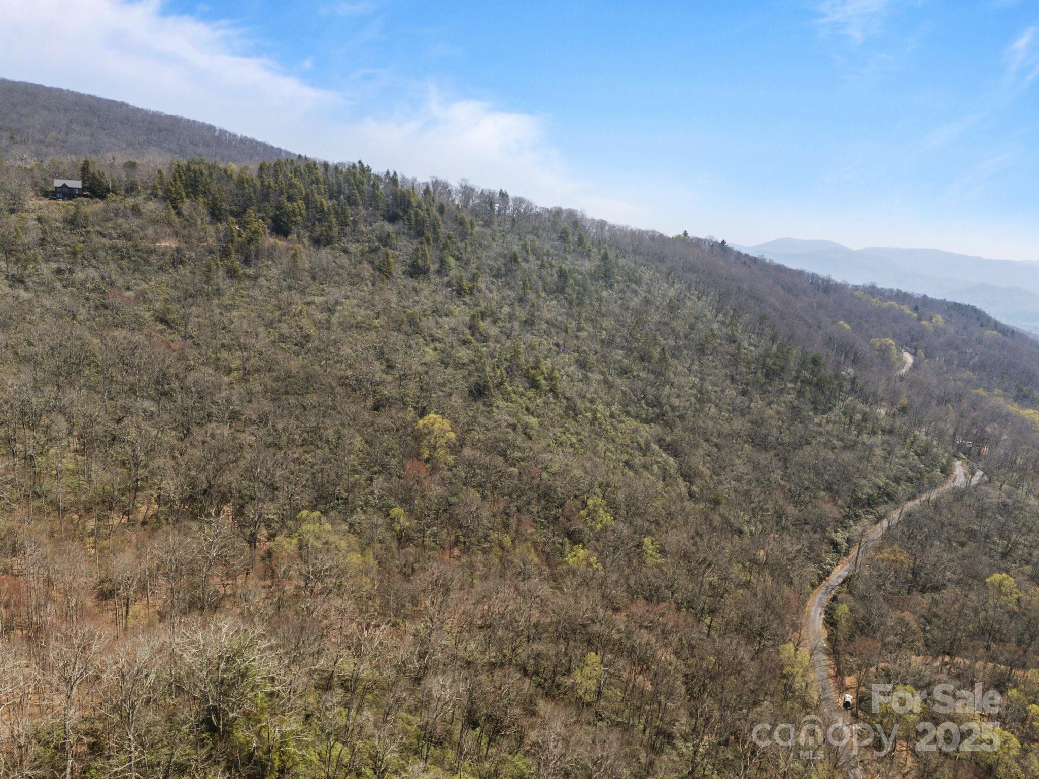 Fairview Forest - Land