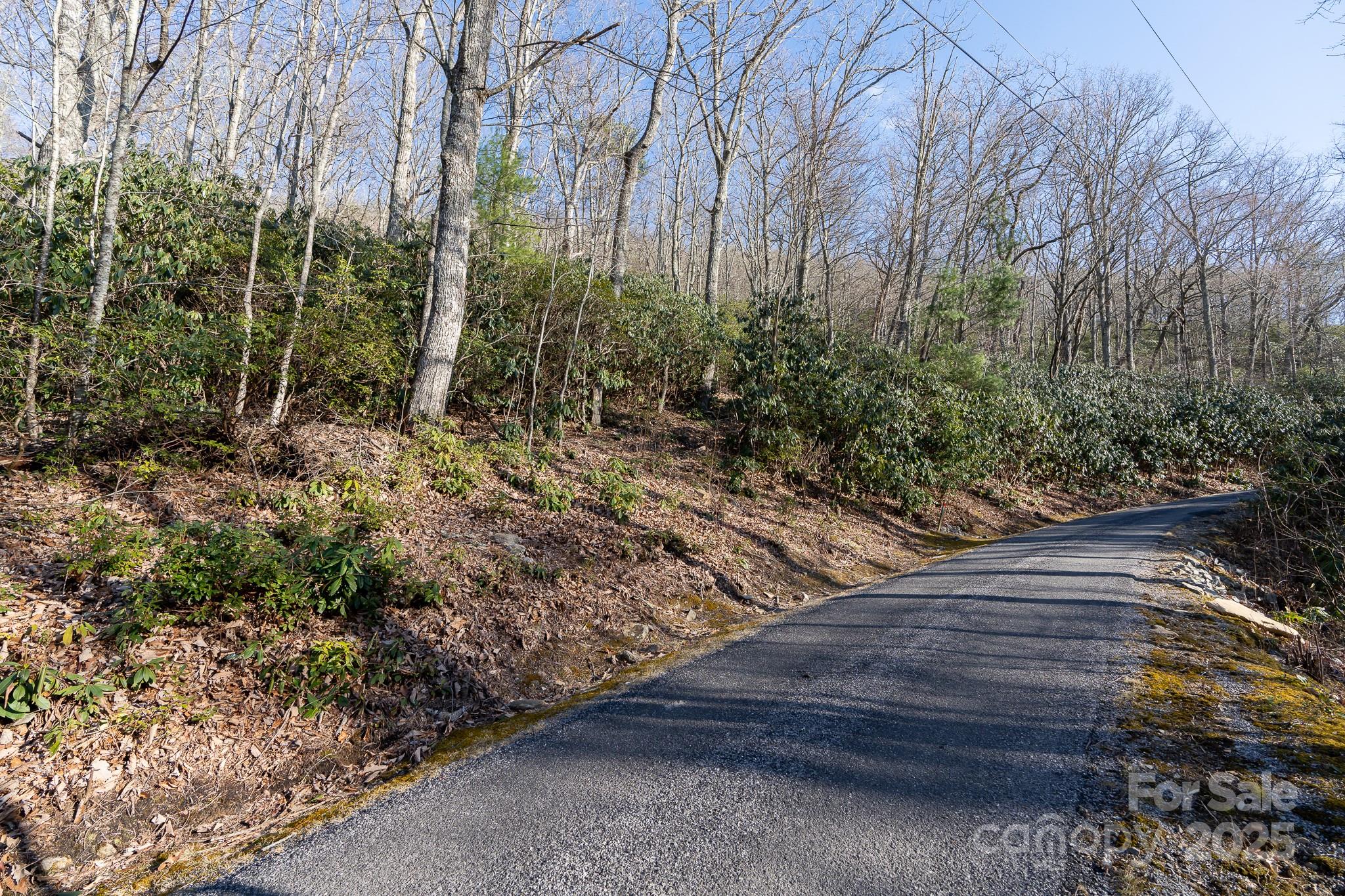 Fairview Forest - Land