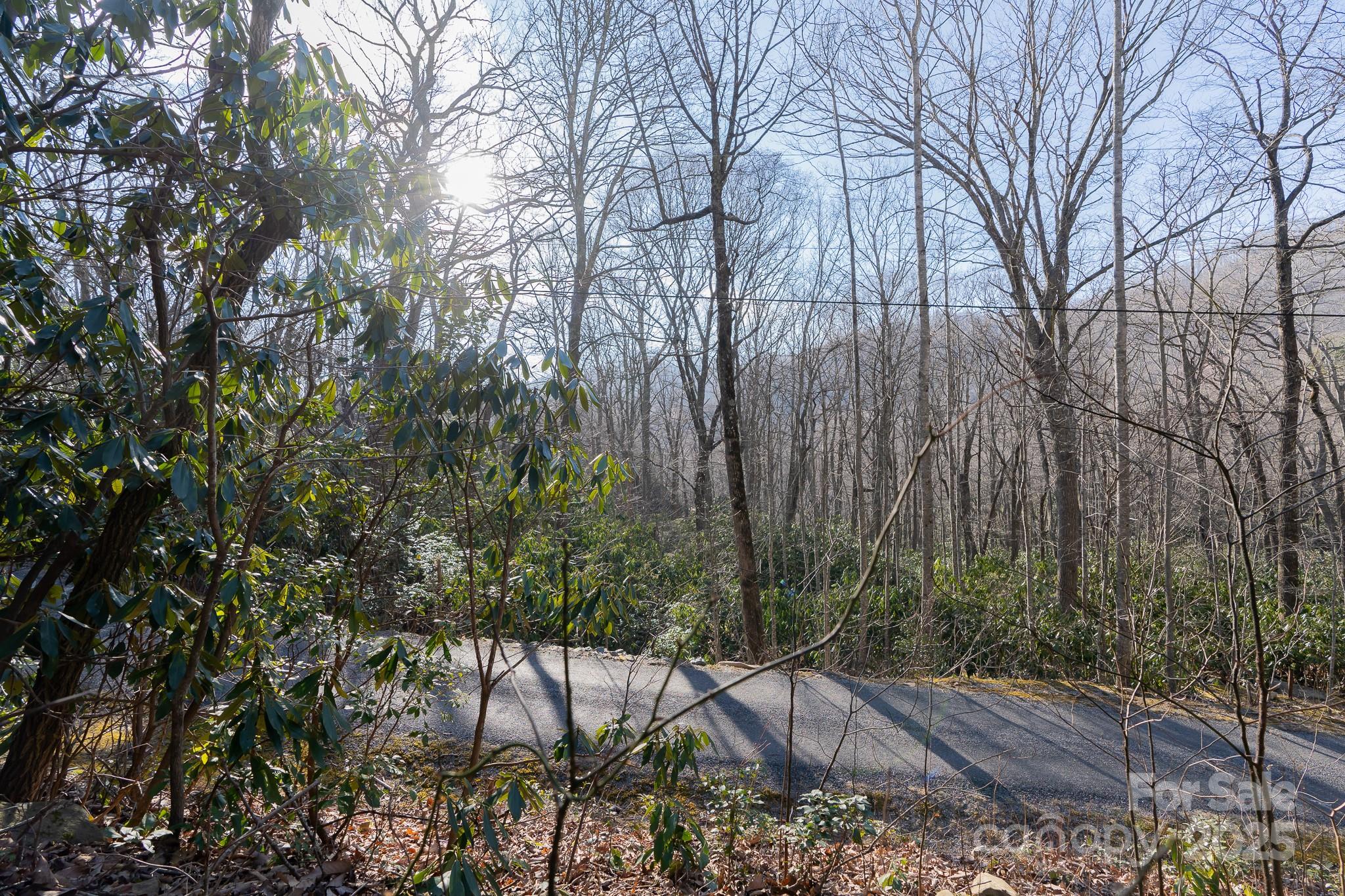 Fairview Forest - Land