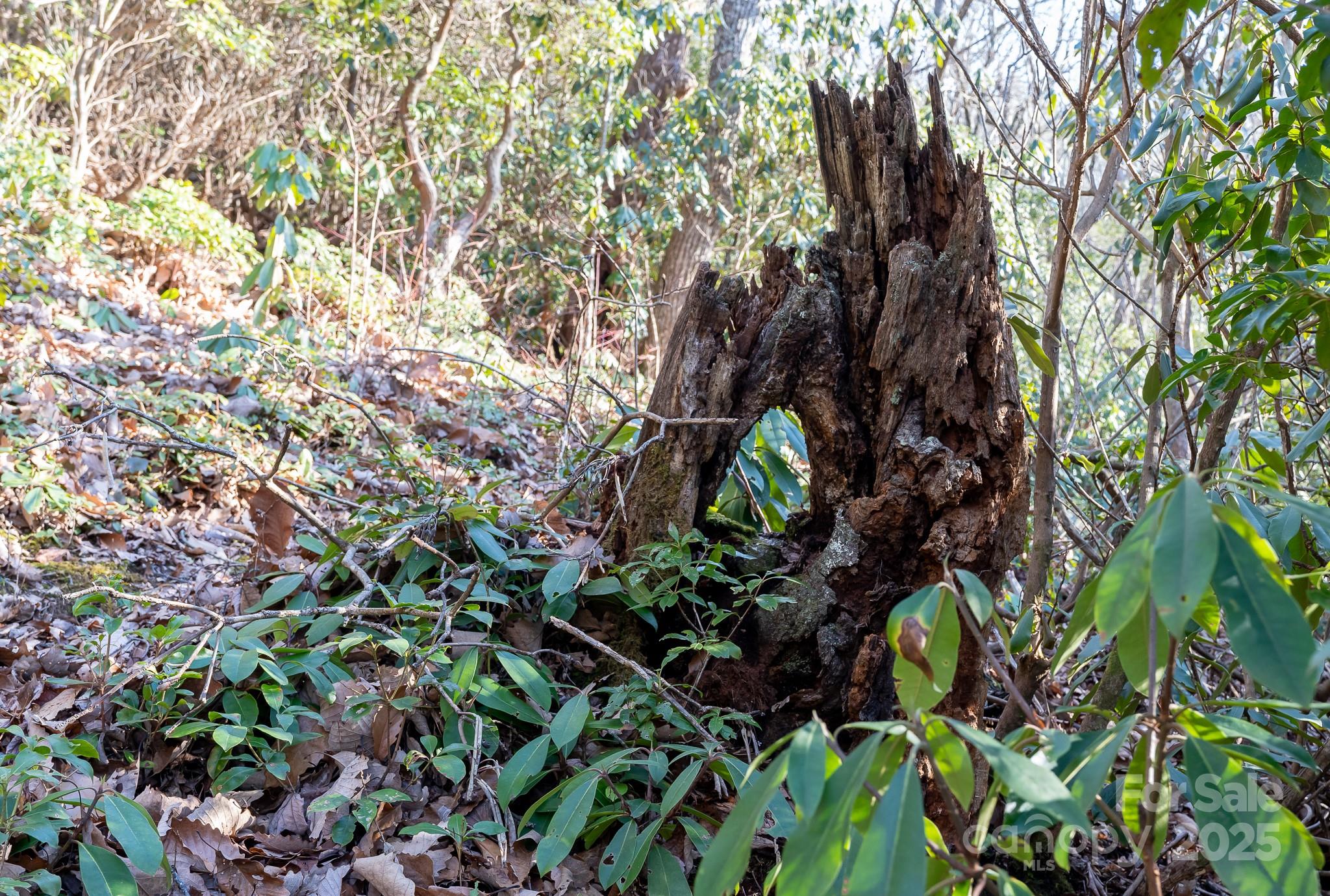 00 Rock Springs Road 10