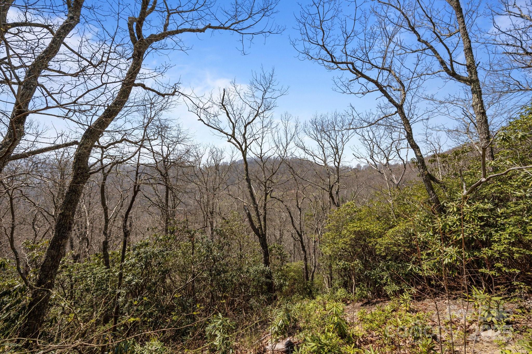 Fairview Forest - Land