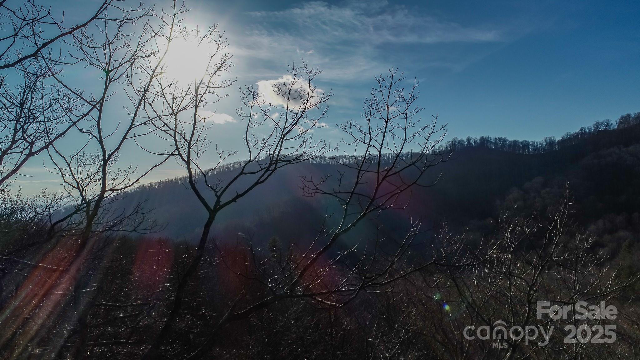 Fairview Forest - Land