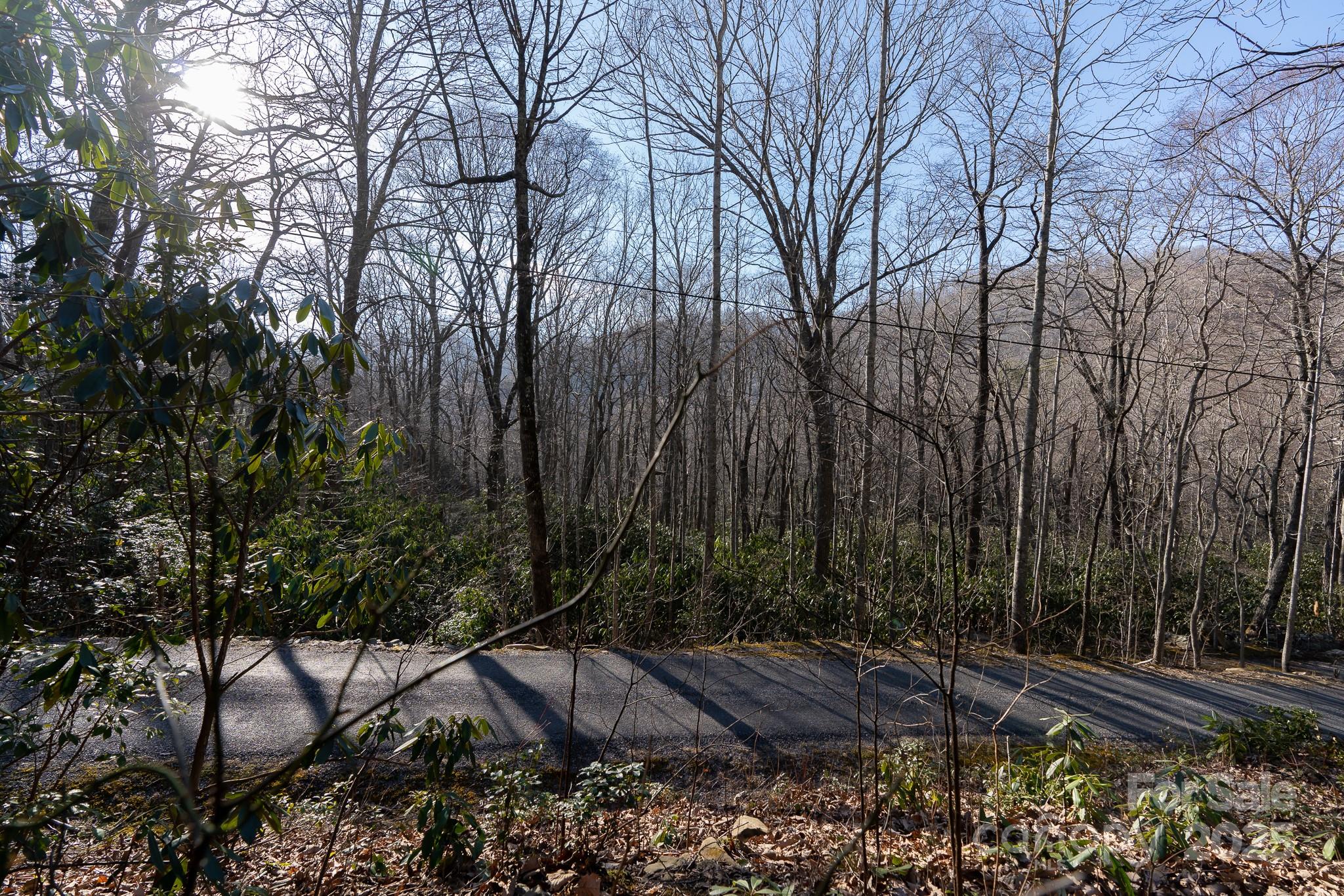 Fairview Forest - Land