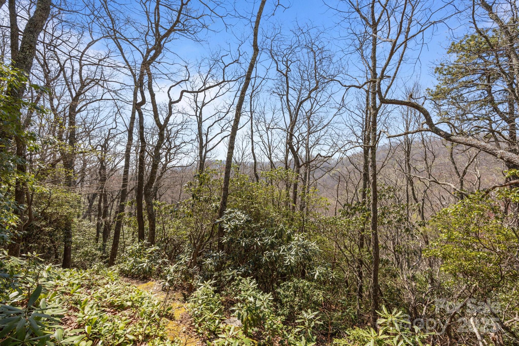 Fairview Forest - Land