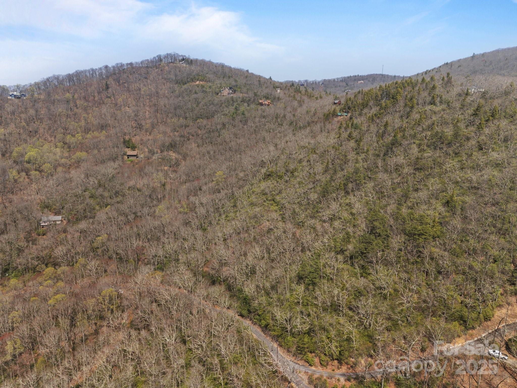 Fairview Forest - Land