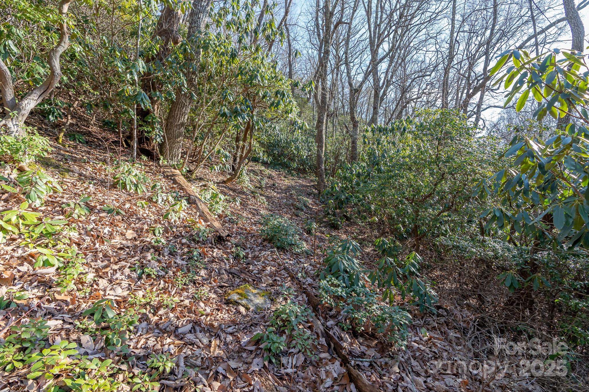 Fairview Forest - Land