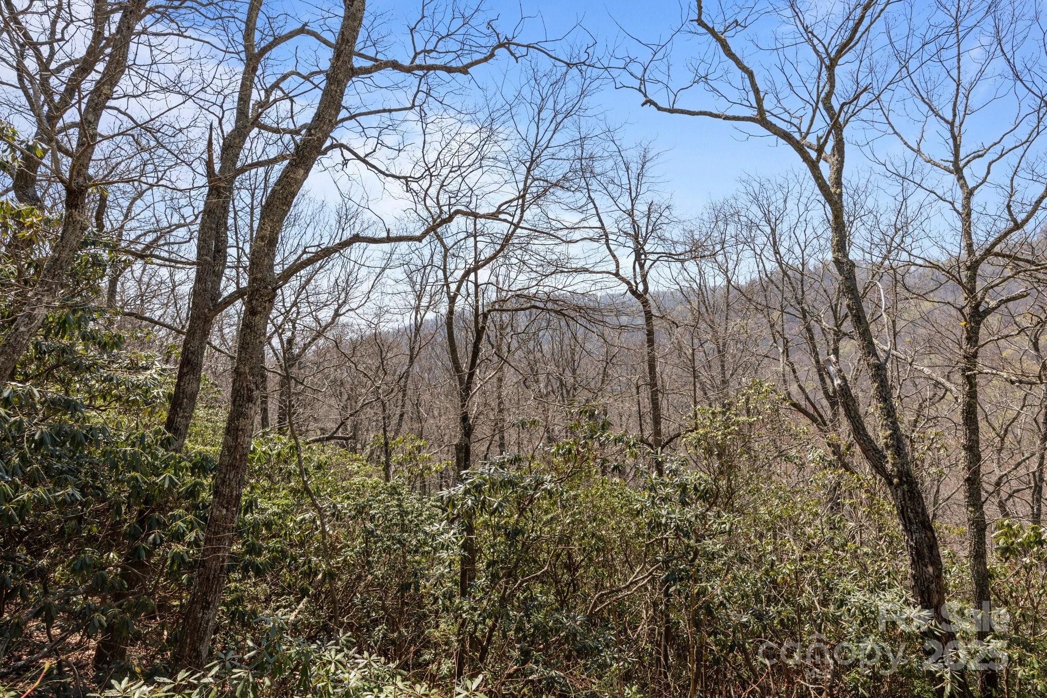 Fairview Forest - Land