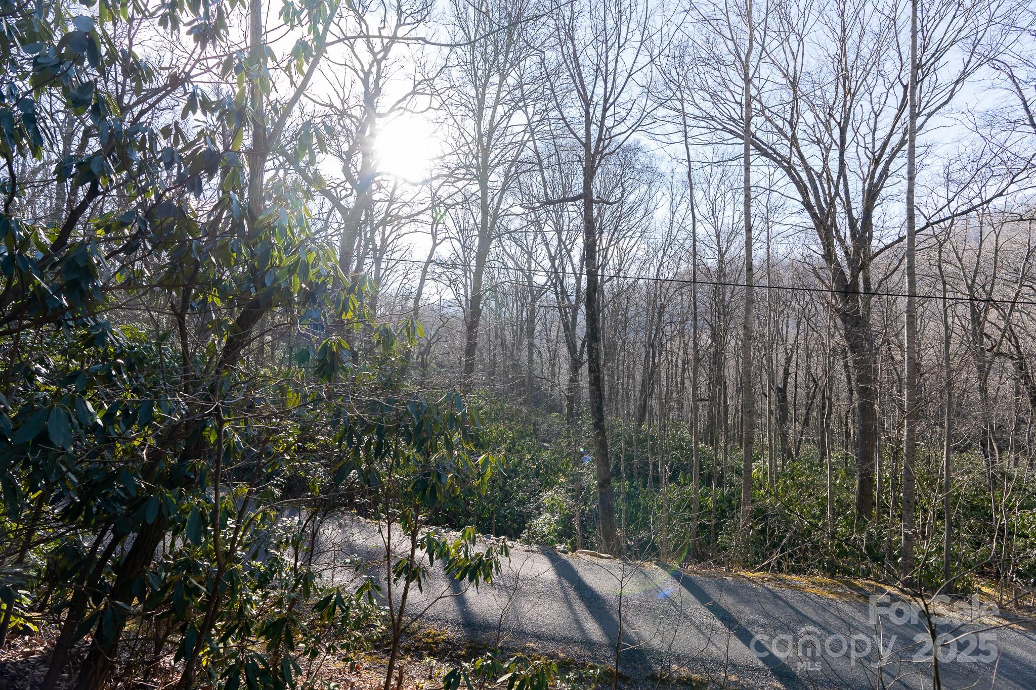 Fairview Forest - Land