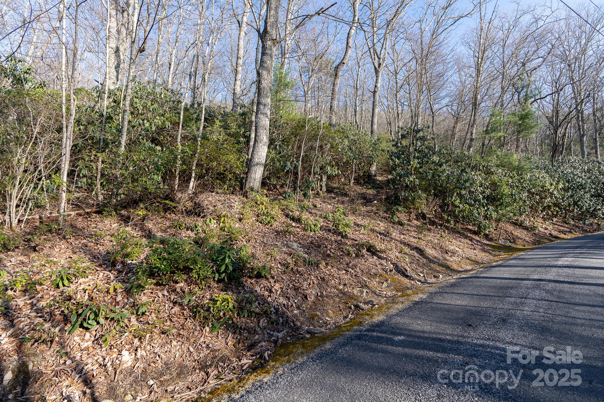 Fairview Forest - Land