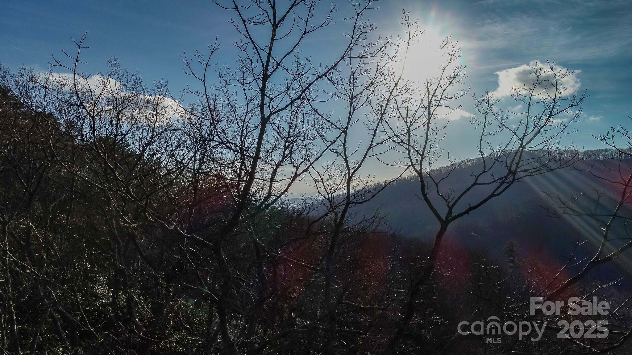 Fairview Forest - Land