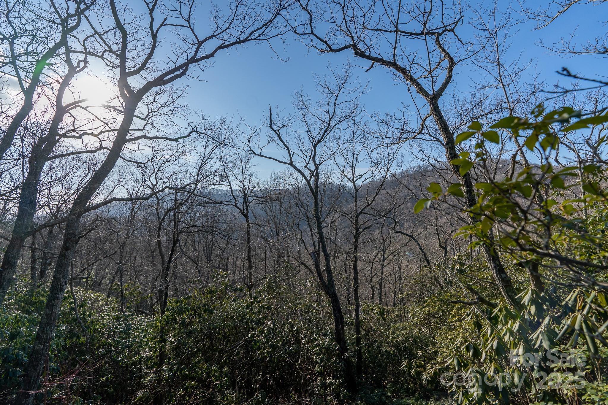 Fairview Forest - Land