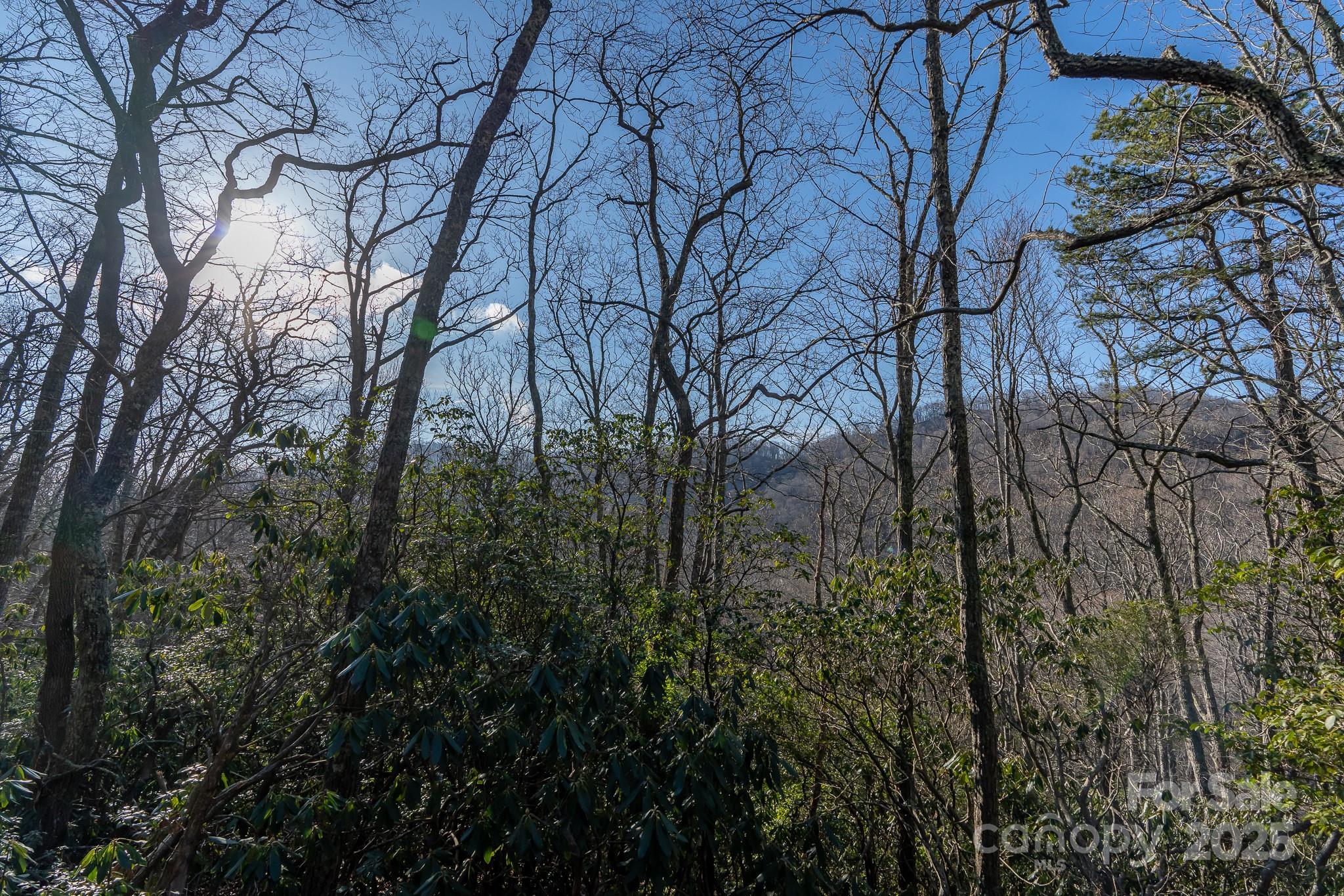 Fairview Forest - Land