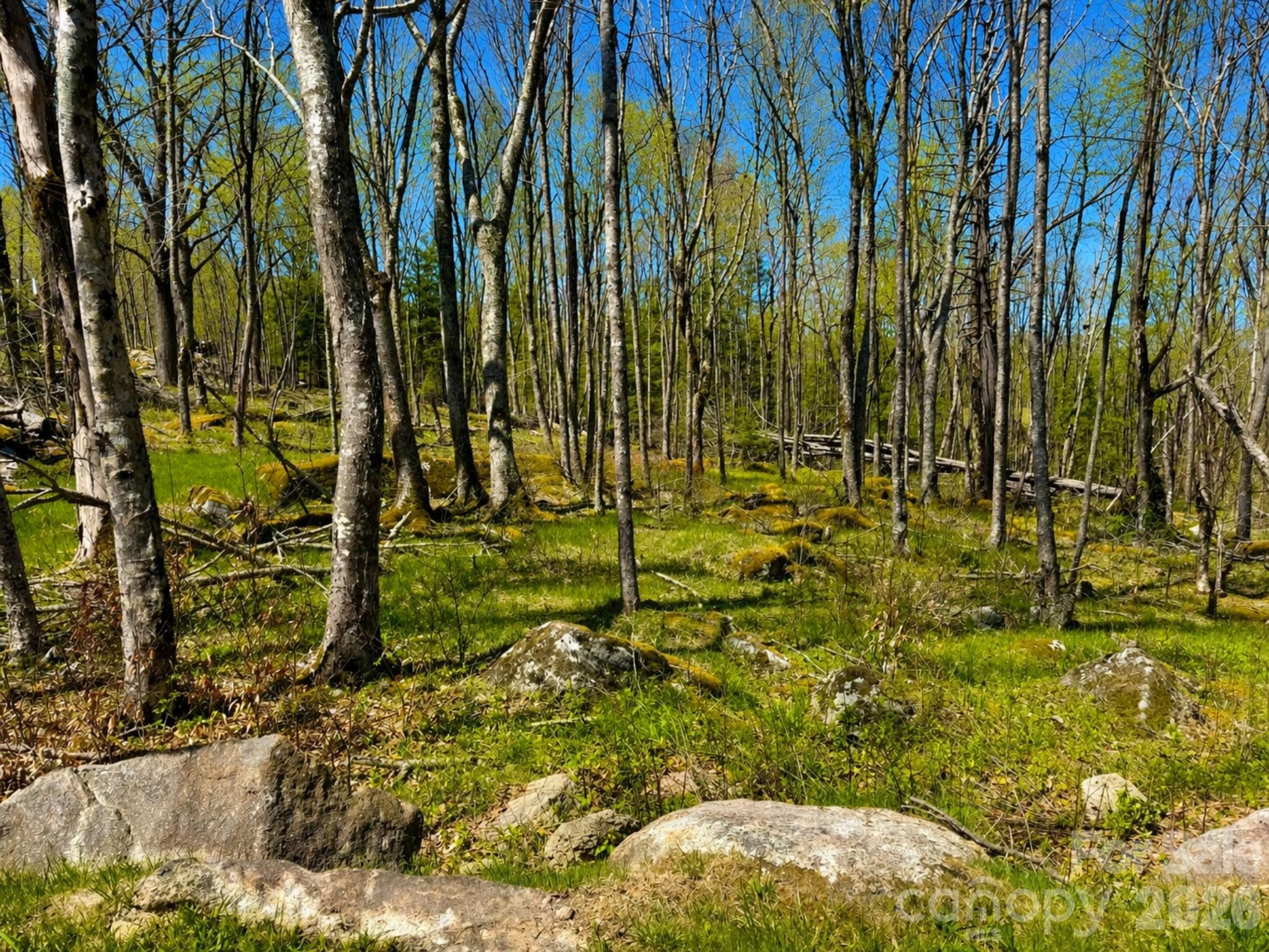 ES-21 Eagle Springs Trail