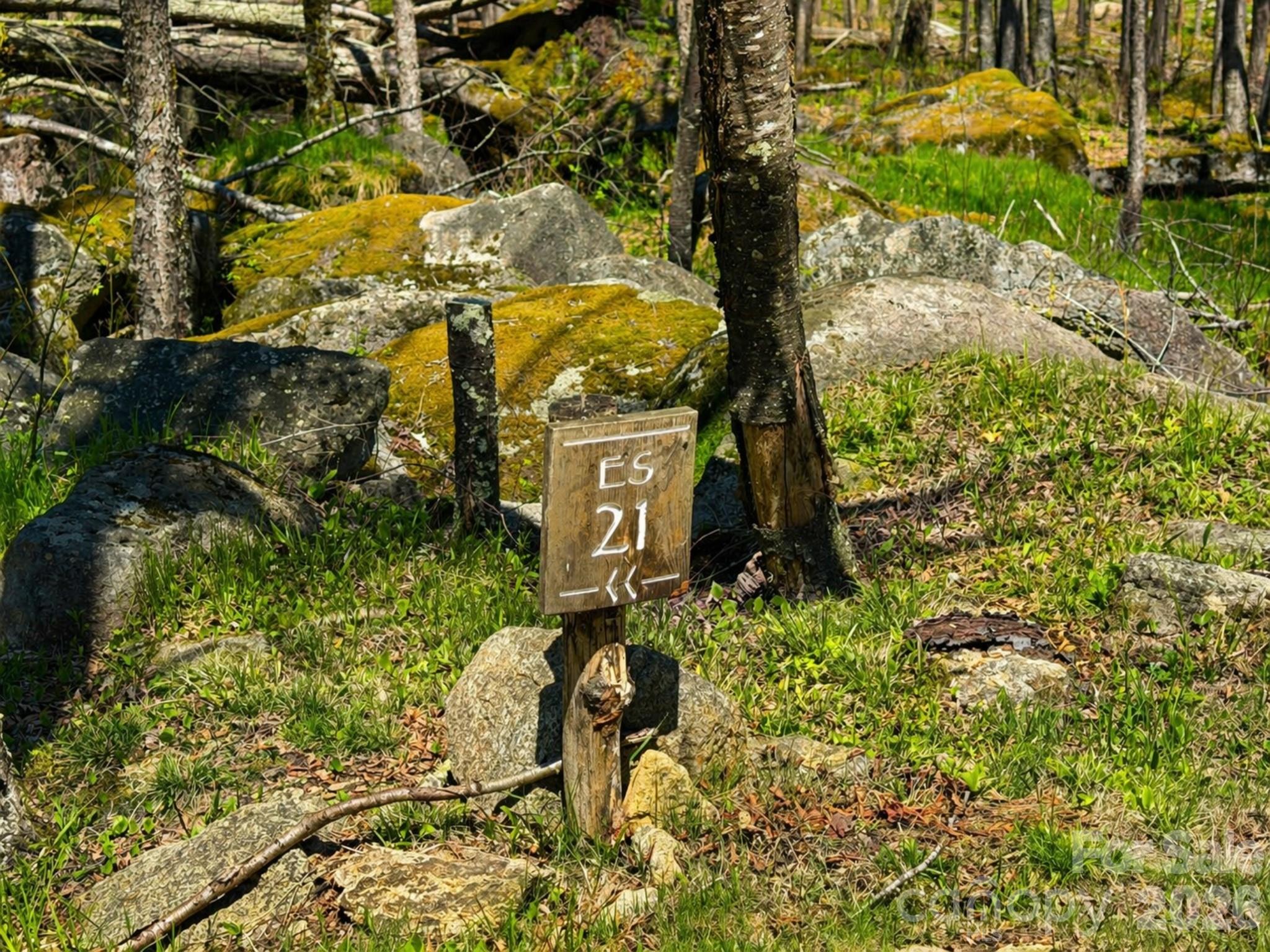 The Lodges at Eagles Nest - Land