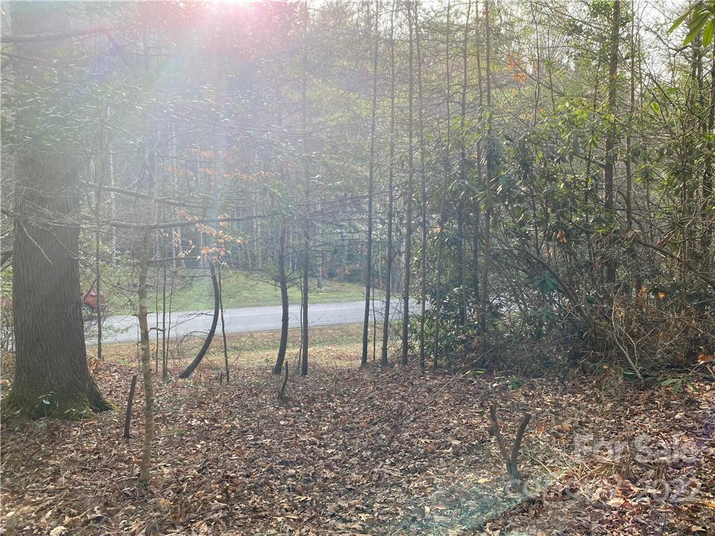 Cross Creek - Land