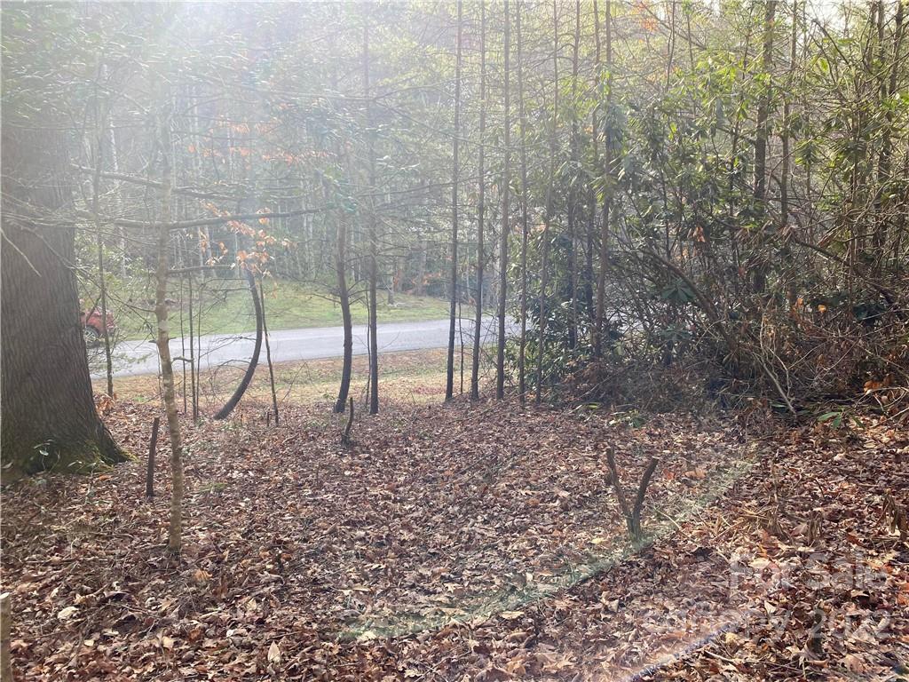 Cross Creek - Land