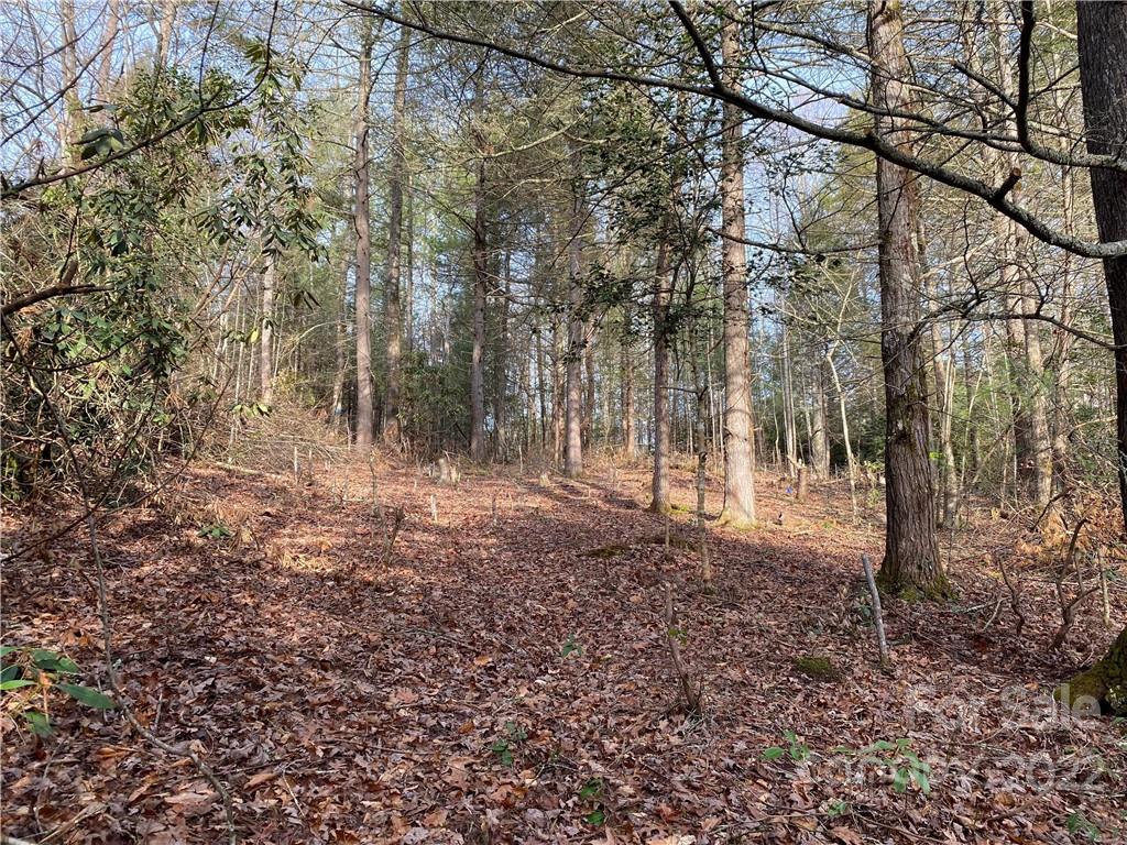 Cross Creek - Land