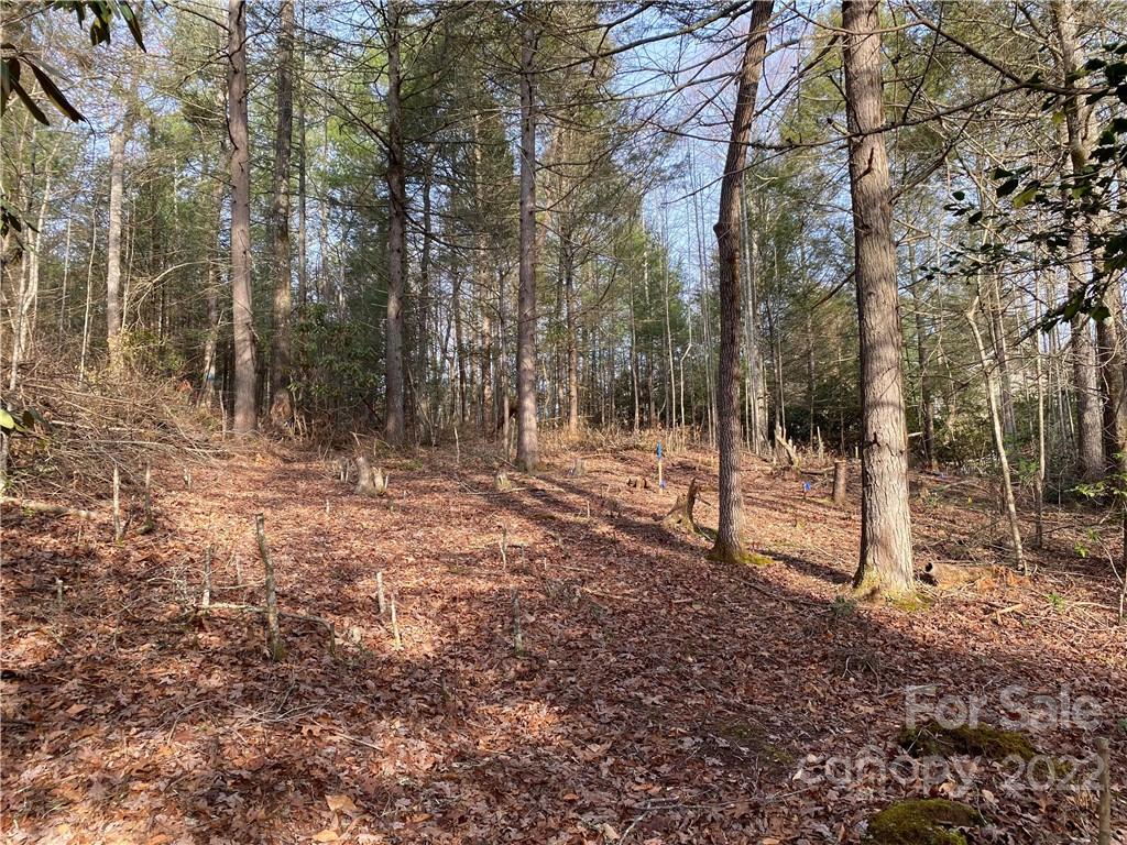 Cross Creek - Land