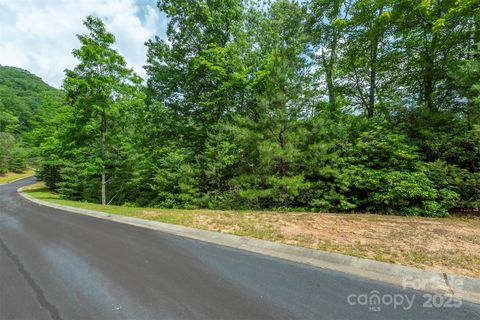 99999 May Fly Lane 118 Horse Shoe NC 28742