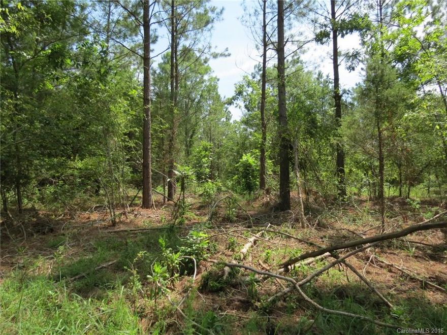 This tract of land is square in shape and has plenty of road frontage.  The land has a nice rolling topo and has some nice 15-17 year old planted pines that were just thinned about a year ago.  The property is perfect for building a home and there are several nice building sites.  This is part of a larger tract so more acreage is available.  This would also make a great recreational tract with plenty of wildlife.  There are some minor restrictions on each of the tracts.