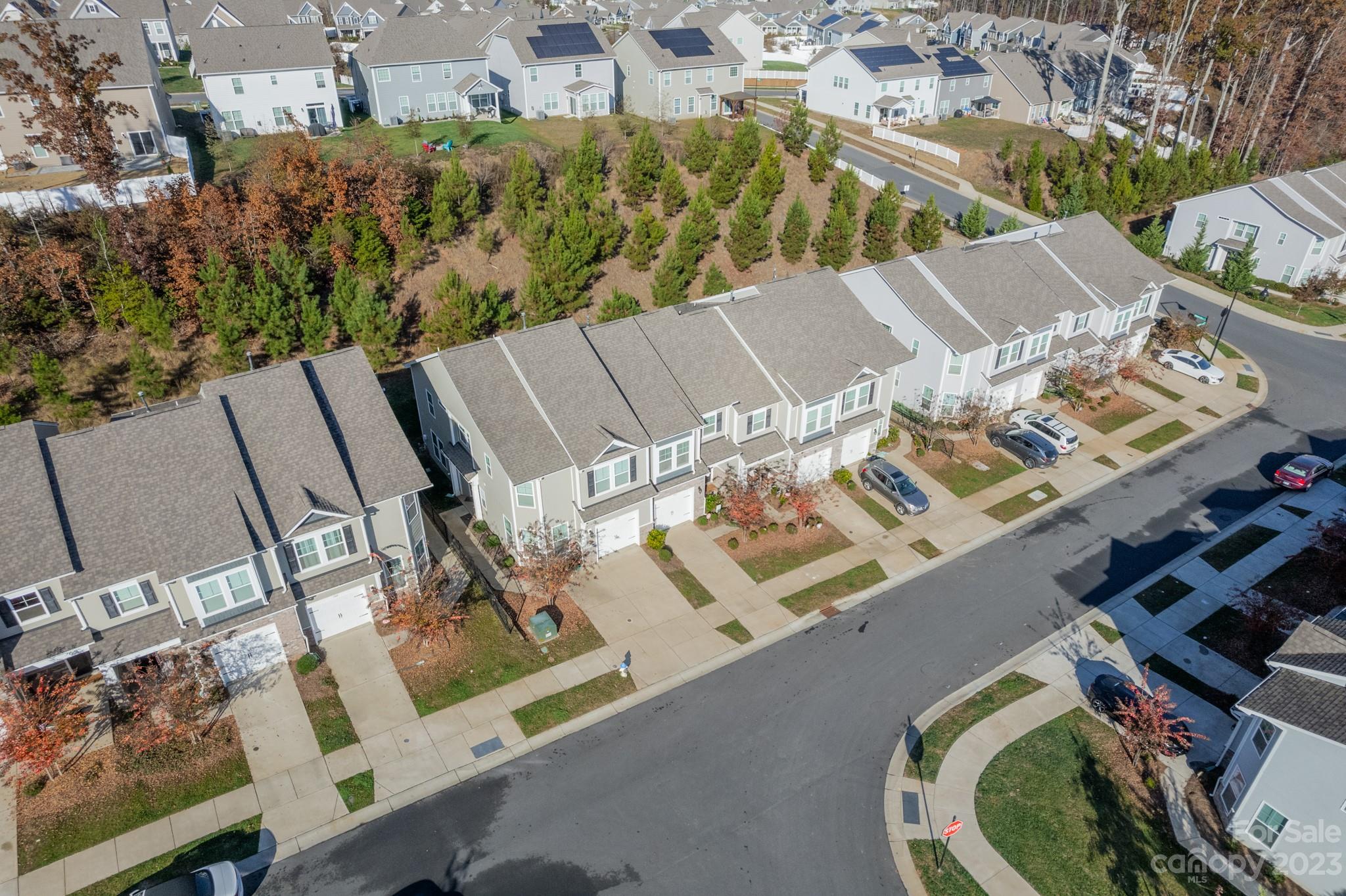 Ivy Ridge - Residential