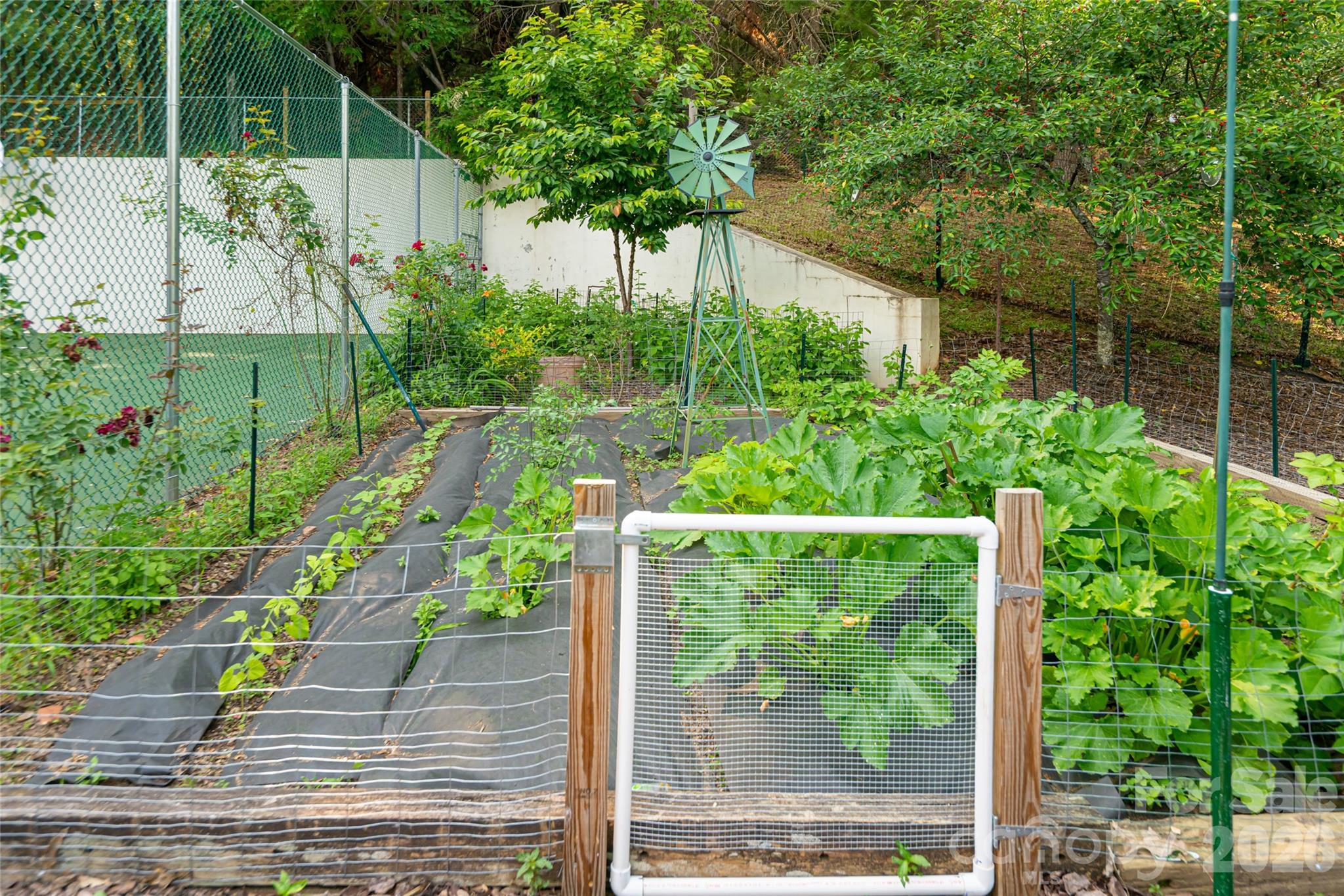 Biltmore Forest - Residential