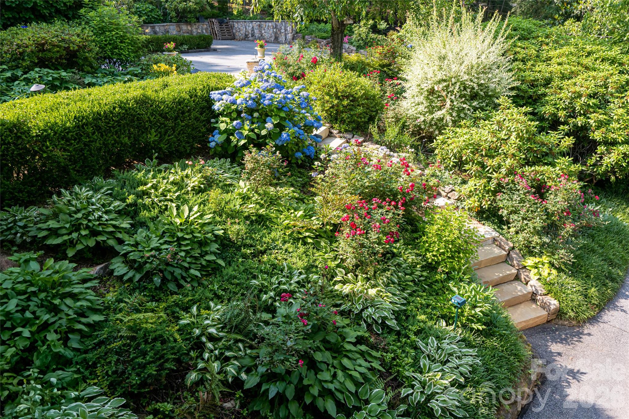 Biltmore Forest - Residential