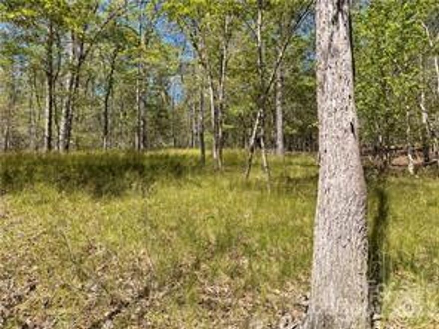 2.48 Ac. on the cul-de-sac in Green River Highlands. Very Private with additional adjoining lots available to have a total of 6.48 ac. with one HOA fee. Very easy site to build on for your residence, vacation home, or rental for a great investment. Close to Tryon International Equestrian Center where eventers and spectators are always looking in the area for a place to stay.