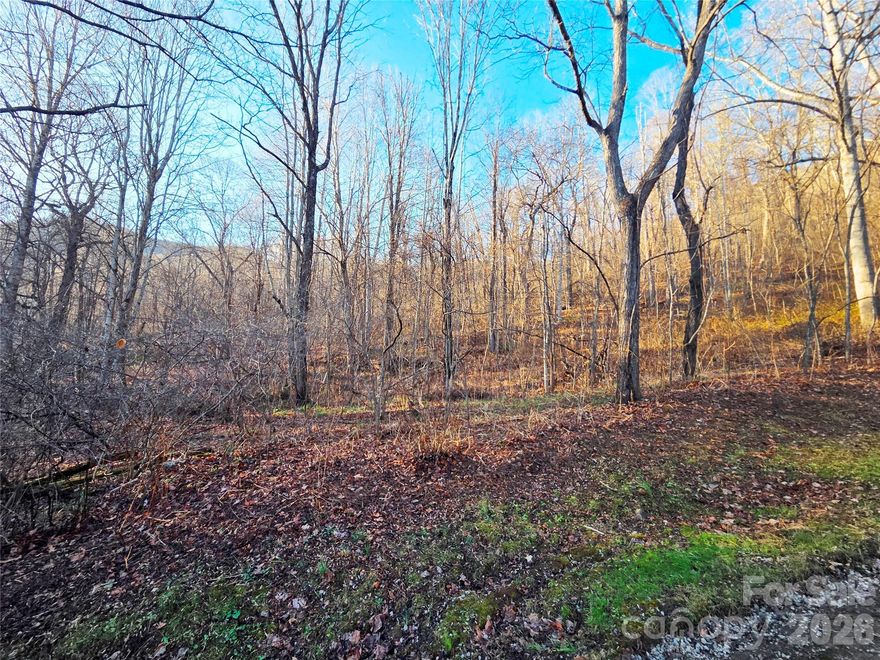 Incredible Value – Priced Below Tax Appraisal of $34,800! This gently sloped and nearly level lot offers the perfect combination of space and usability—ideal for your custom home, yard, garage, and driveway with convenient access via well-maintained 2-lane gravel roads. Located in a gated community that ensures added privacy and security, with underground power and HOA-maintained roads for peace of mind. The neighborhood features spacious 1–to 10-acre lots, offering privacy and flexibility for personalized home designs and site plans. Just 10 miles (about 23 minutes) to Publix, 5 miles to I-40, and only 9 miles to scenic Lake Junaluska. Enjoy the best of both worlds—privacy in the mountains with quick access to everyday essentials!